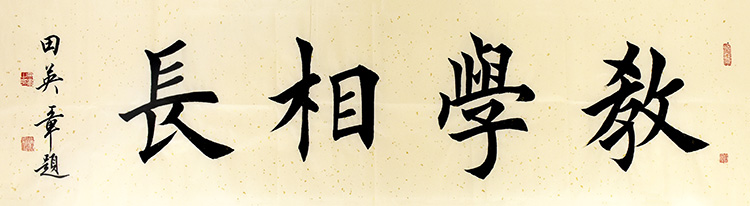 鷨