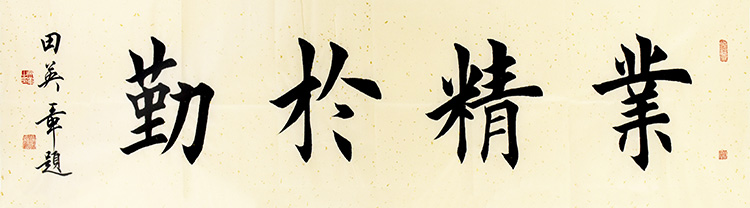 鷨