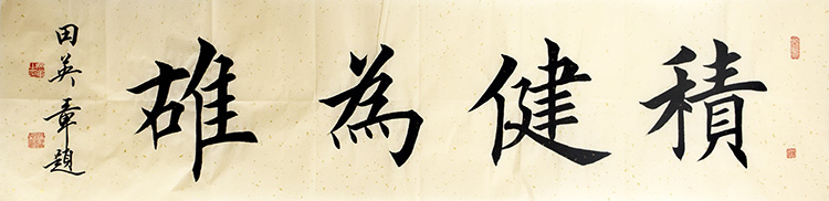 鷨