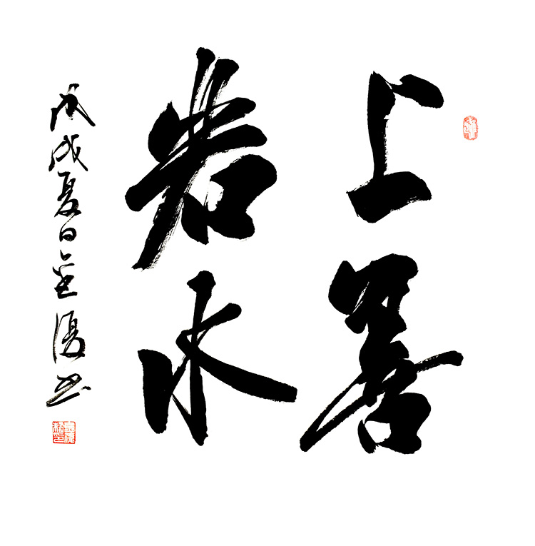 鷨