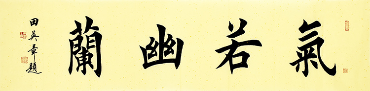 鷨  