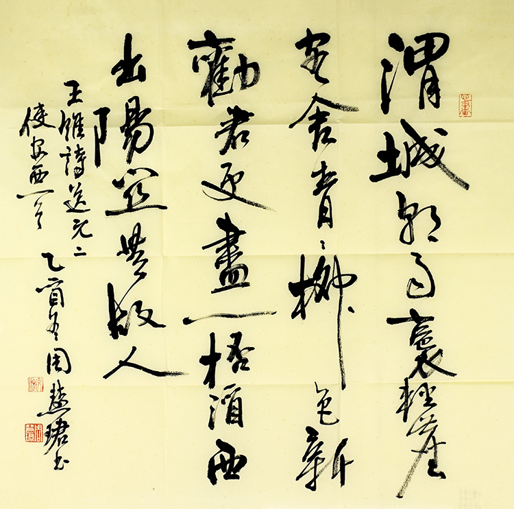 鷨