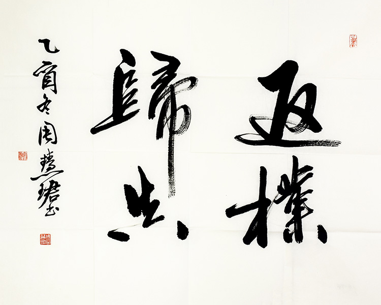 鷨