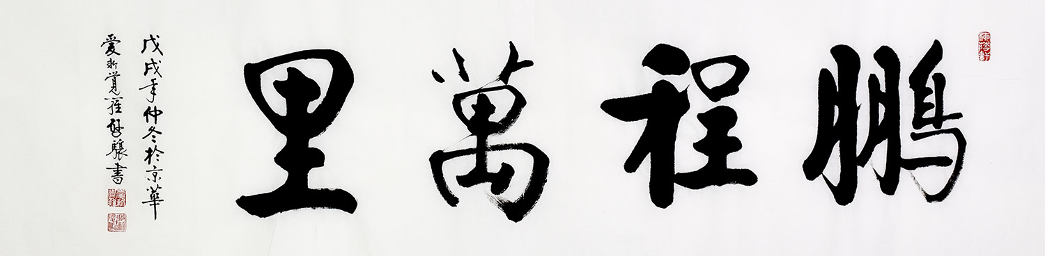 鷨