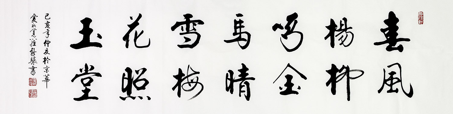 鷨