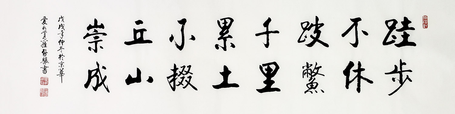 鷨