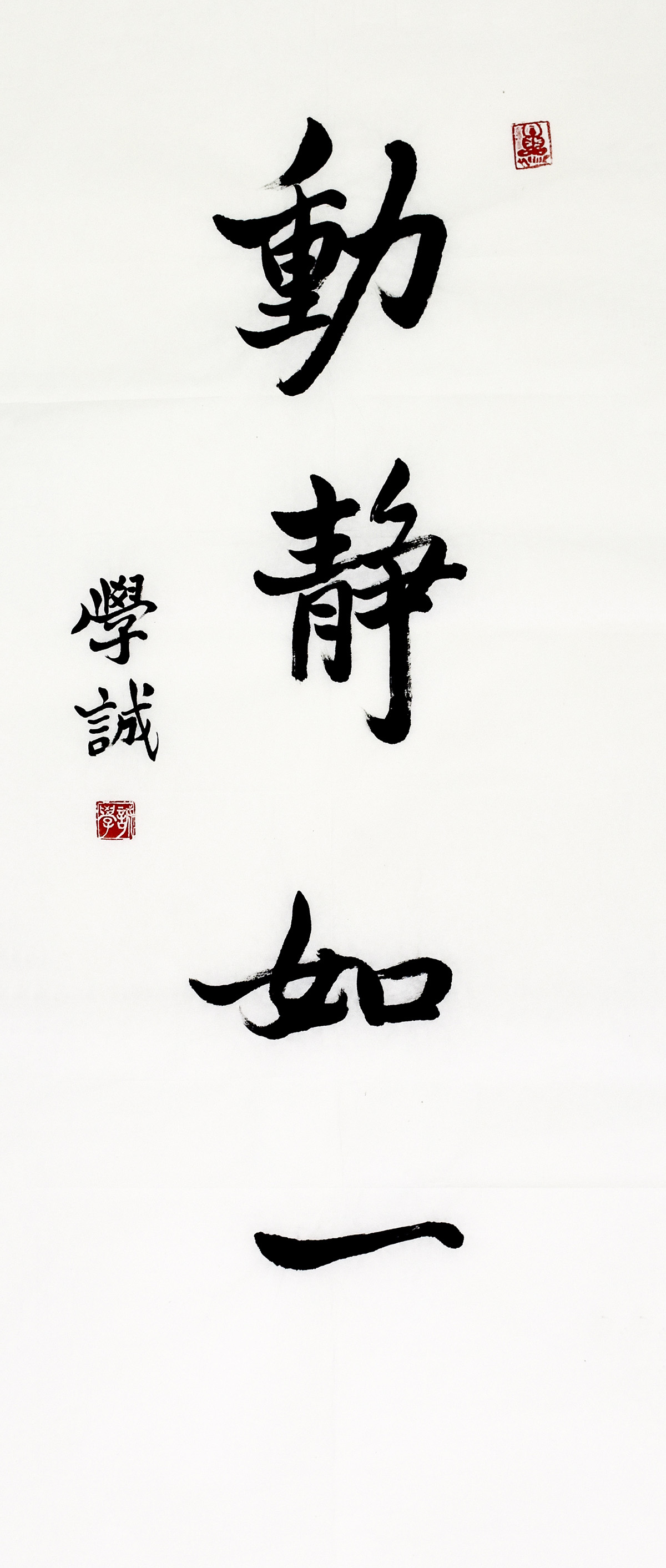 鷨