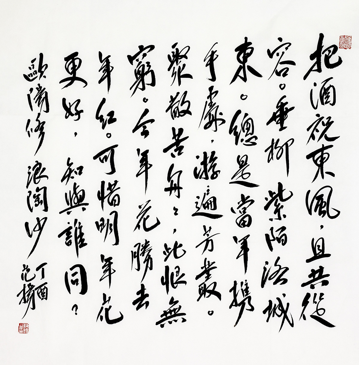 鷨