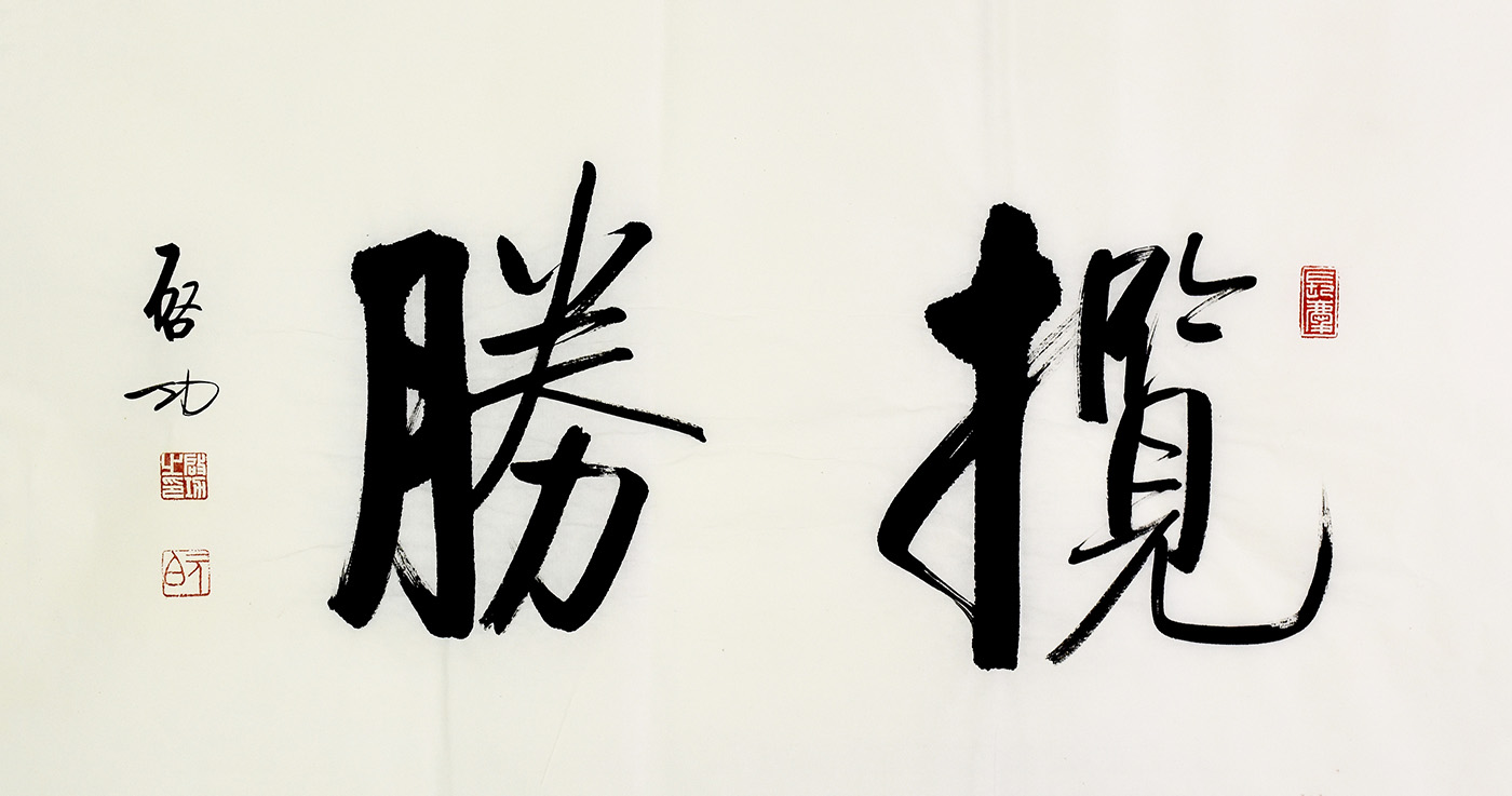 鷨