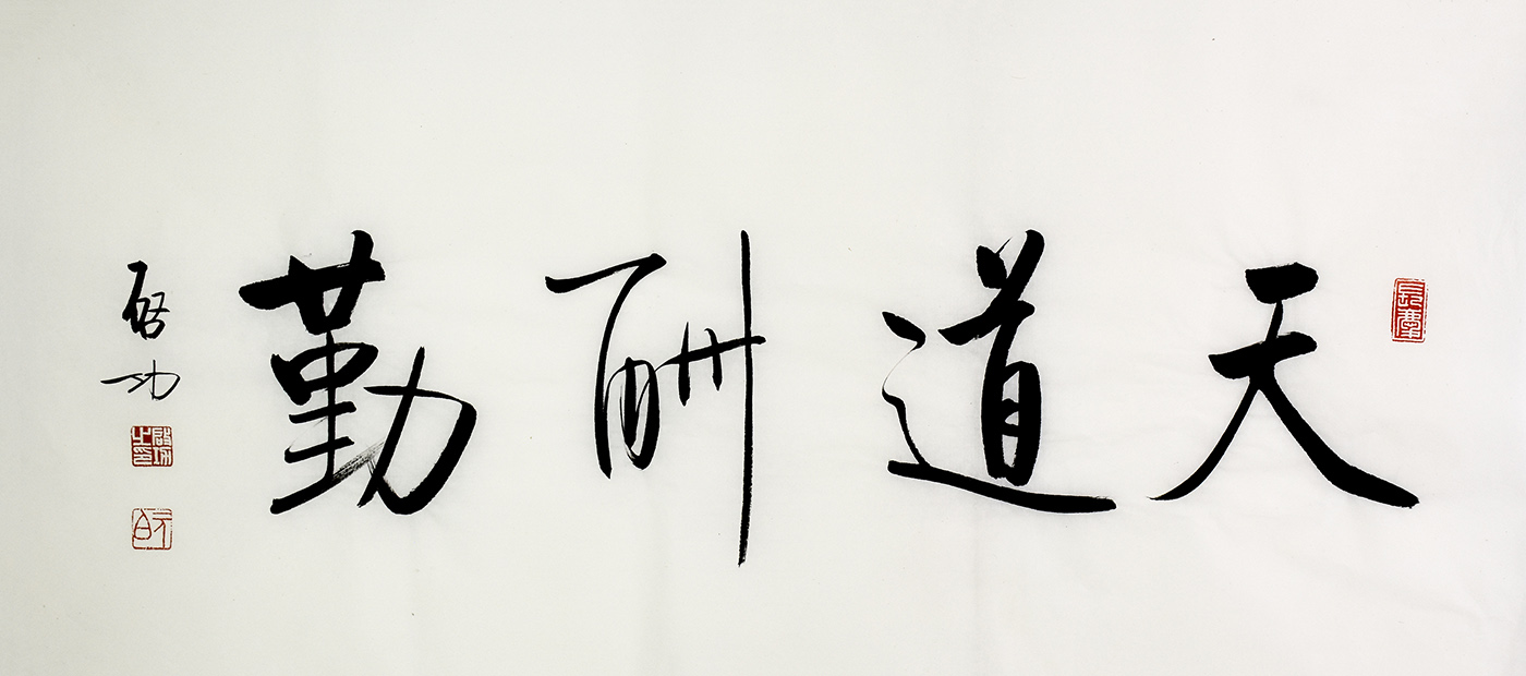 鷨