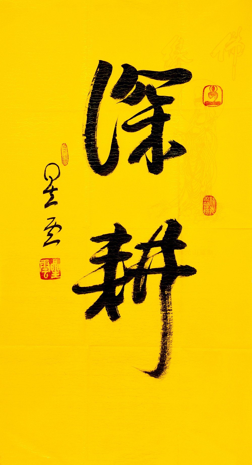 鷨