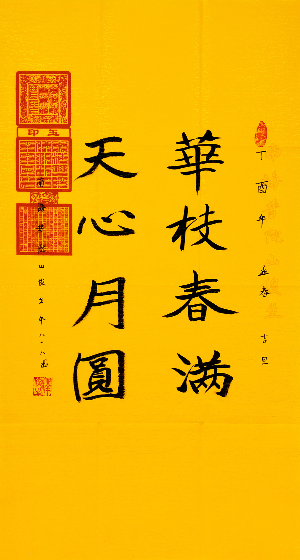 鷨