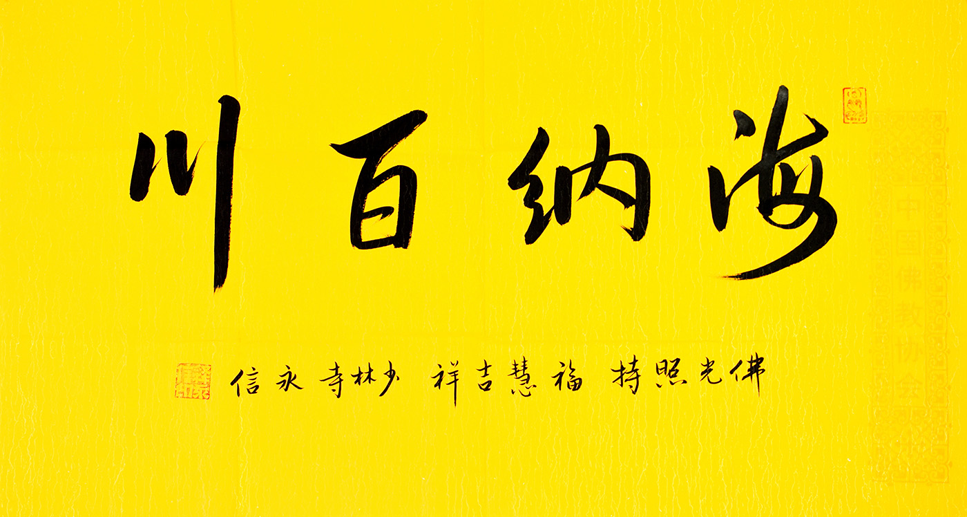 鷨