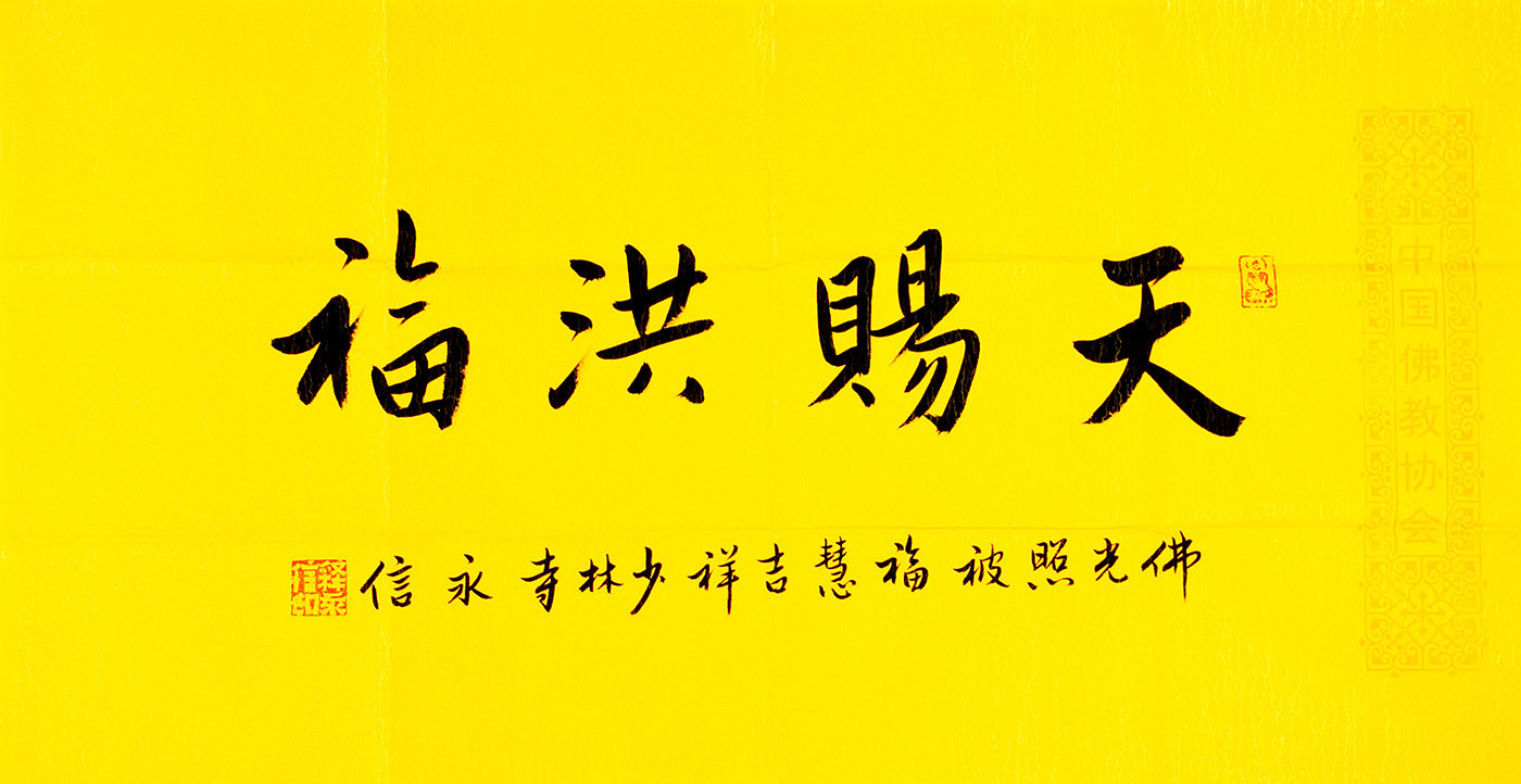 鷨