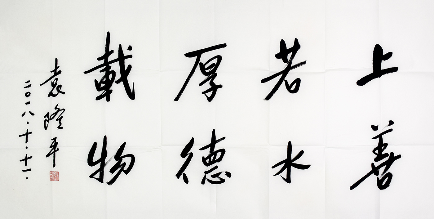 鷨