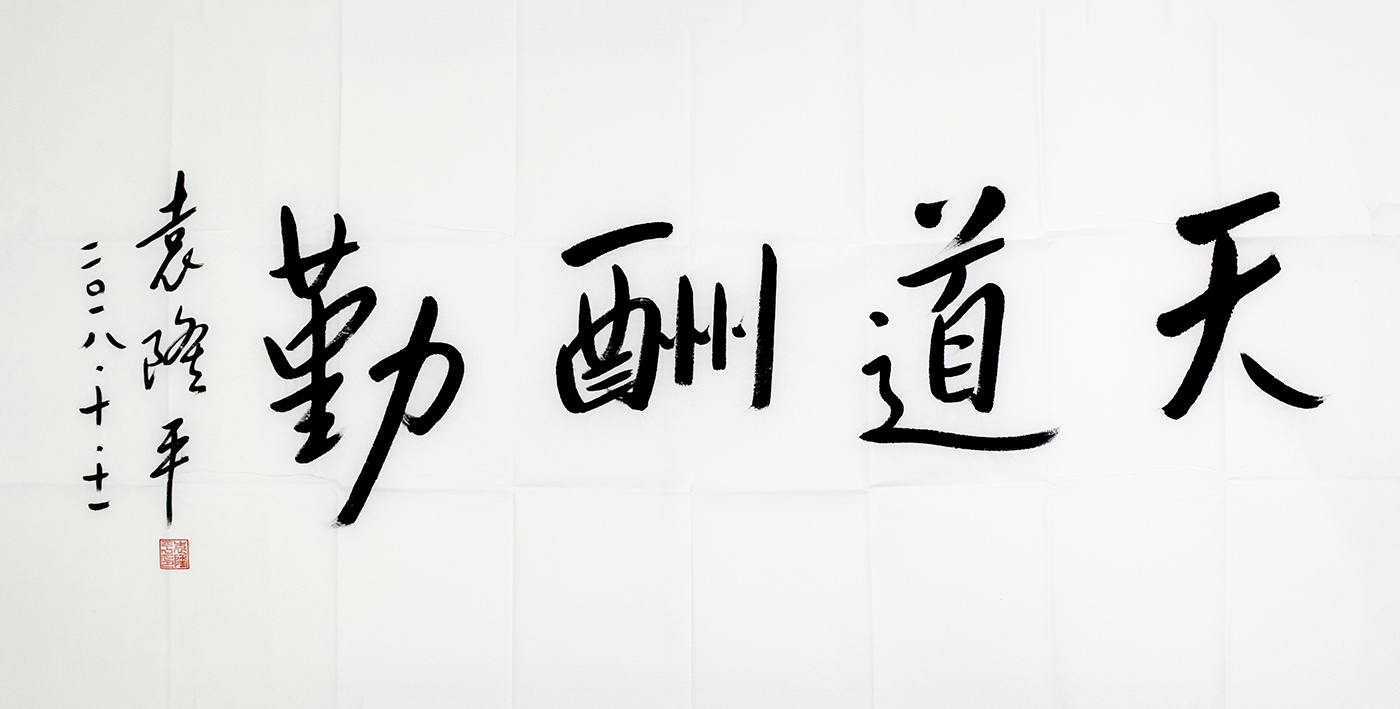 鷨