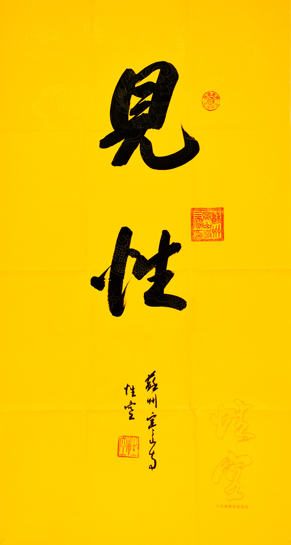 鷨
