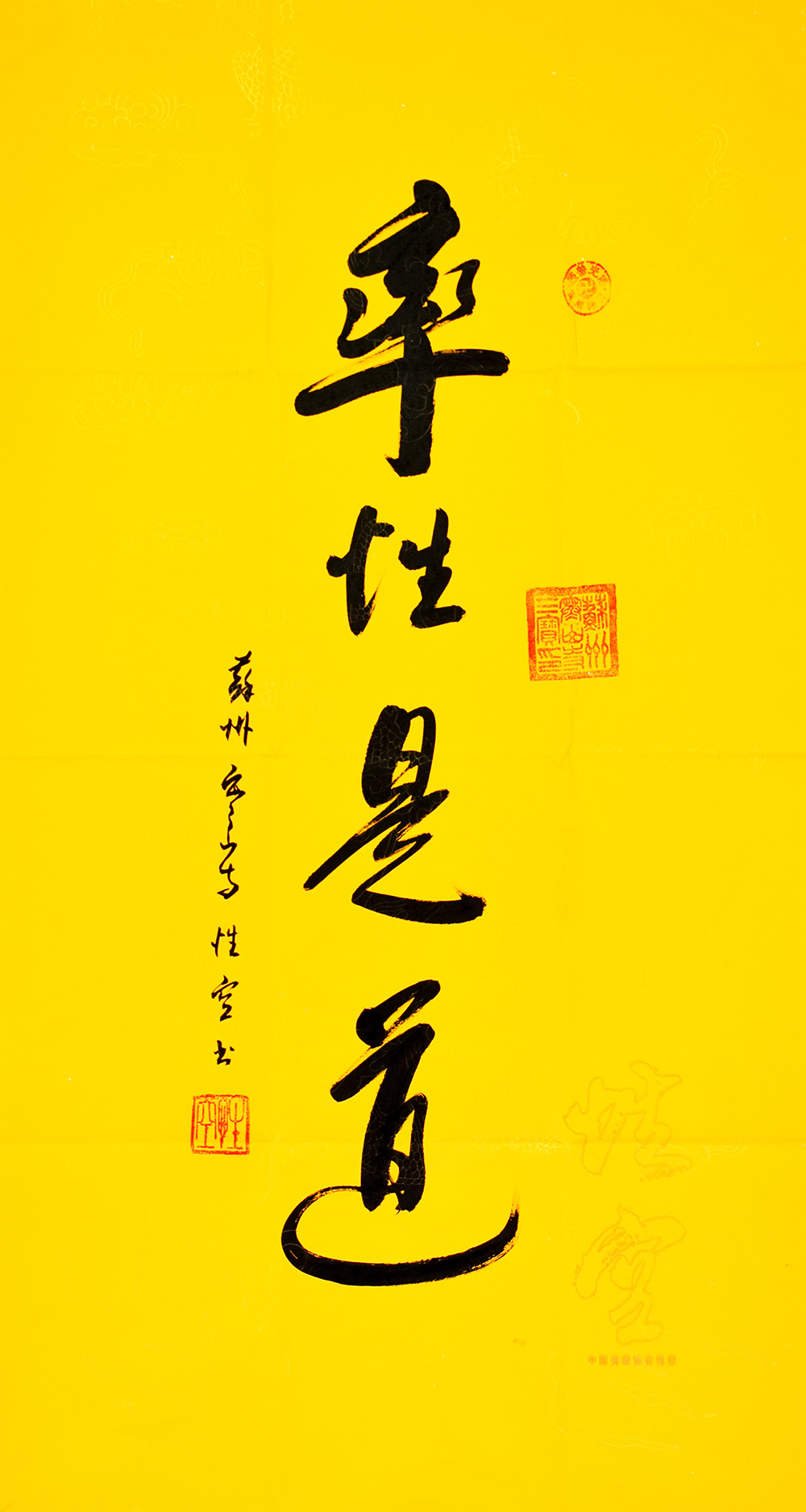 鷨