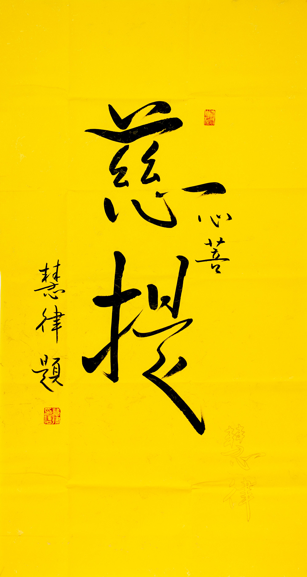 鷨