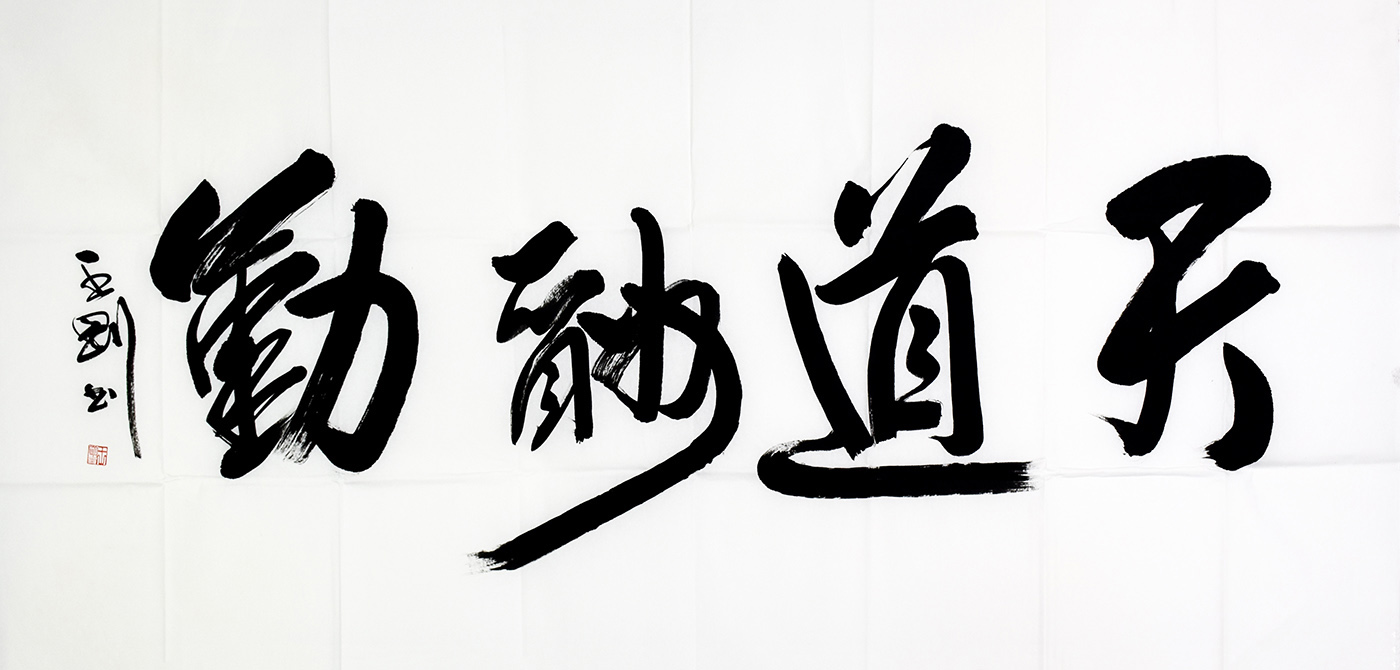 鷨
