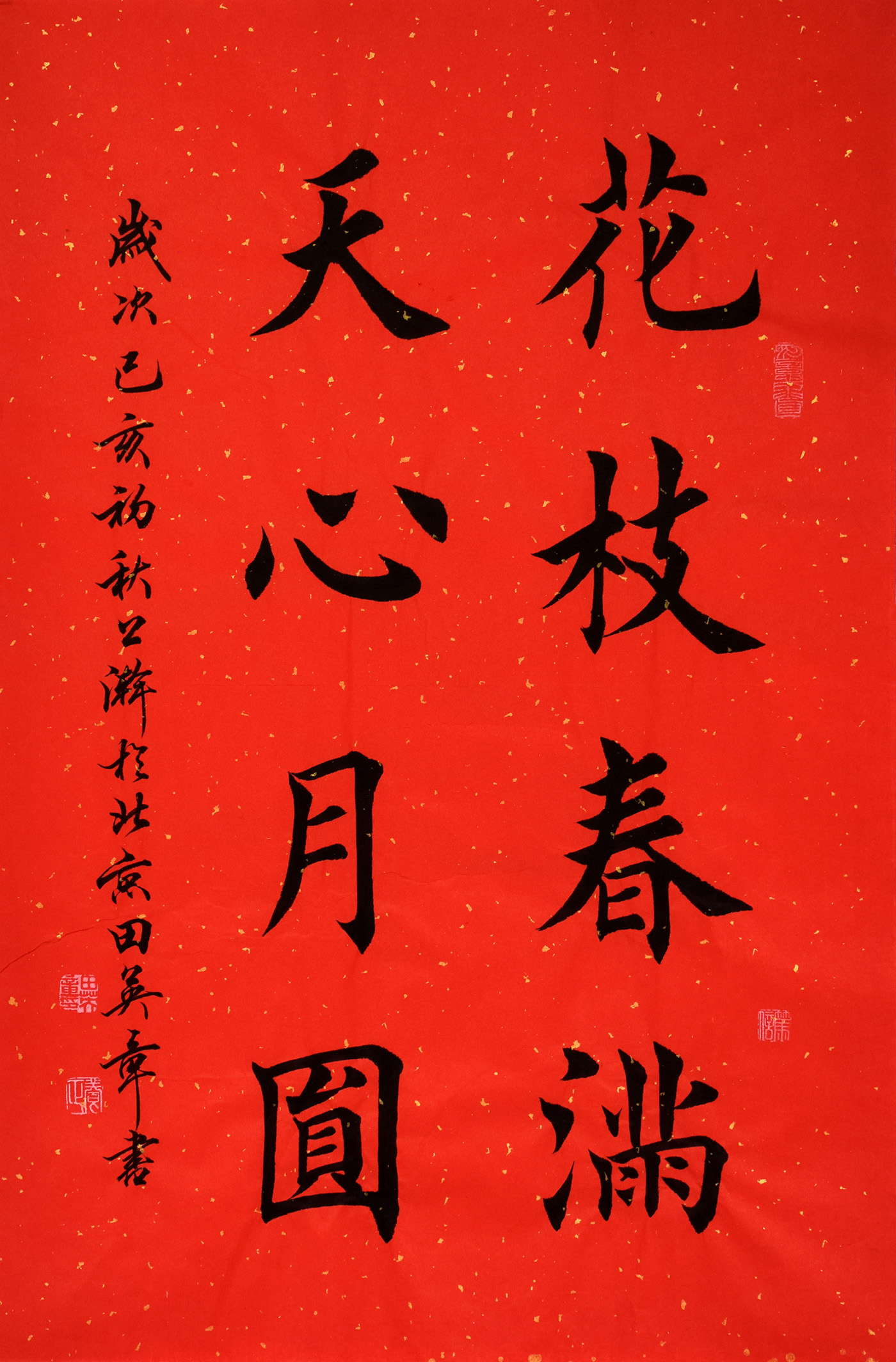 鷨