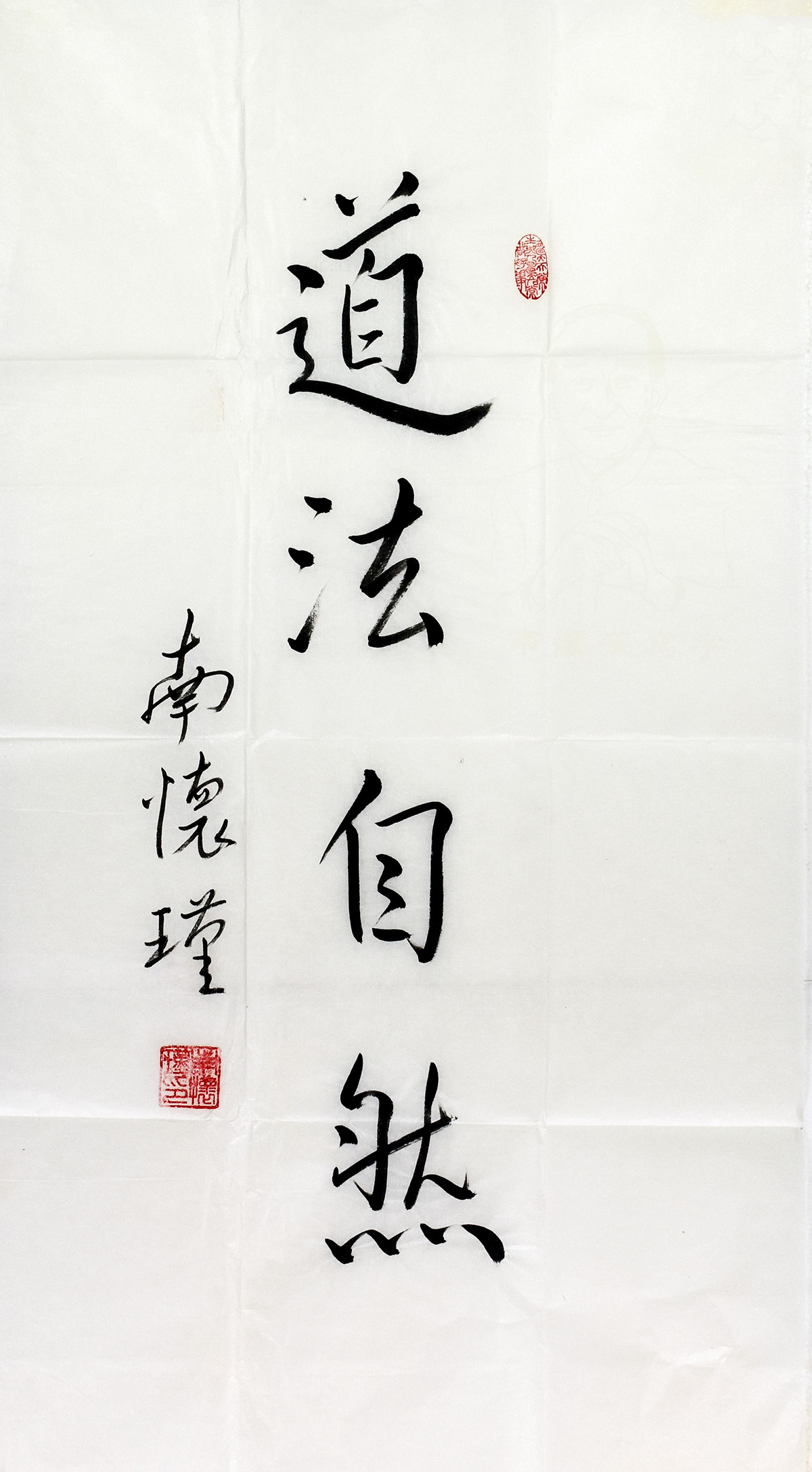鷨