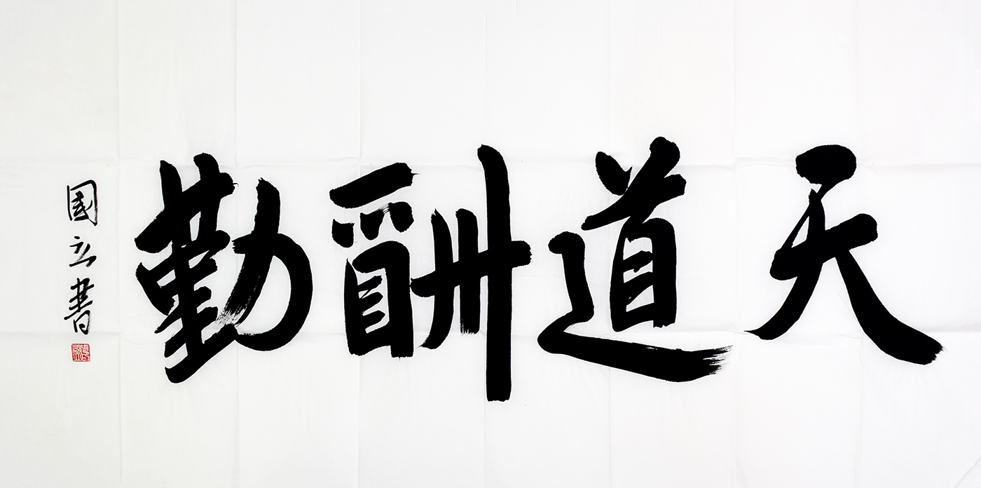 鷨