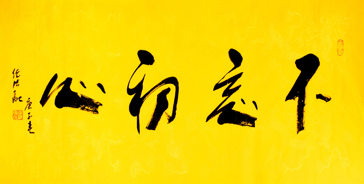 鷨