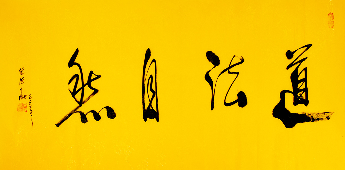 鷨
