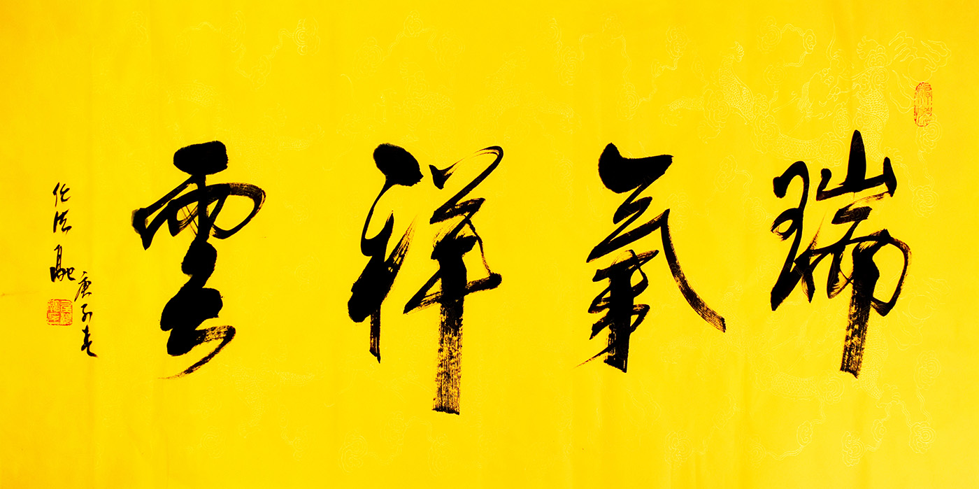 鷨