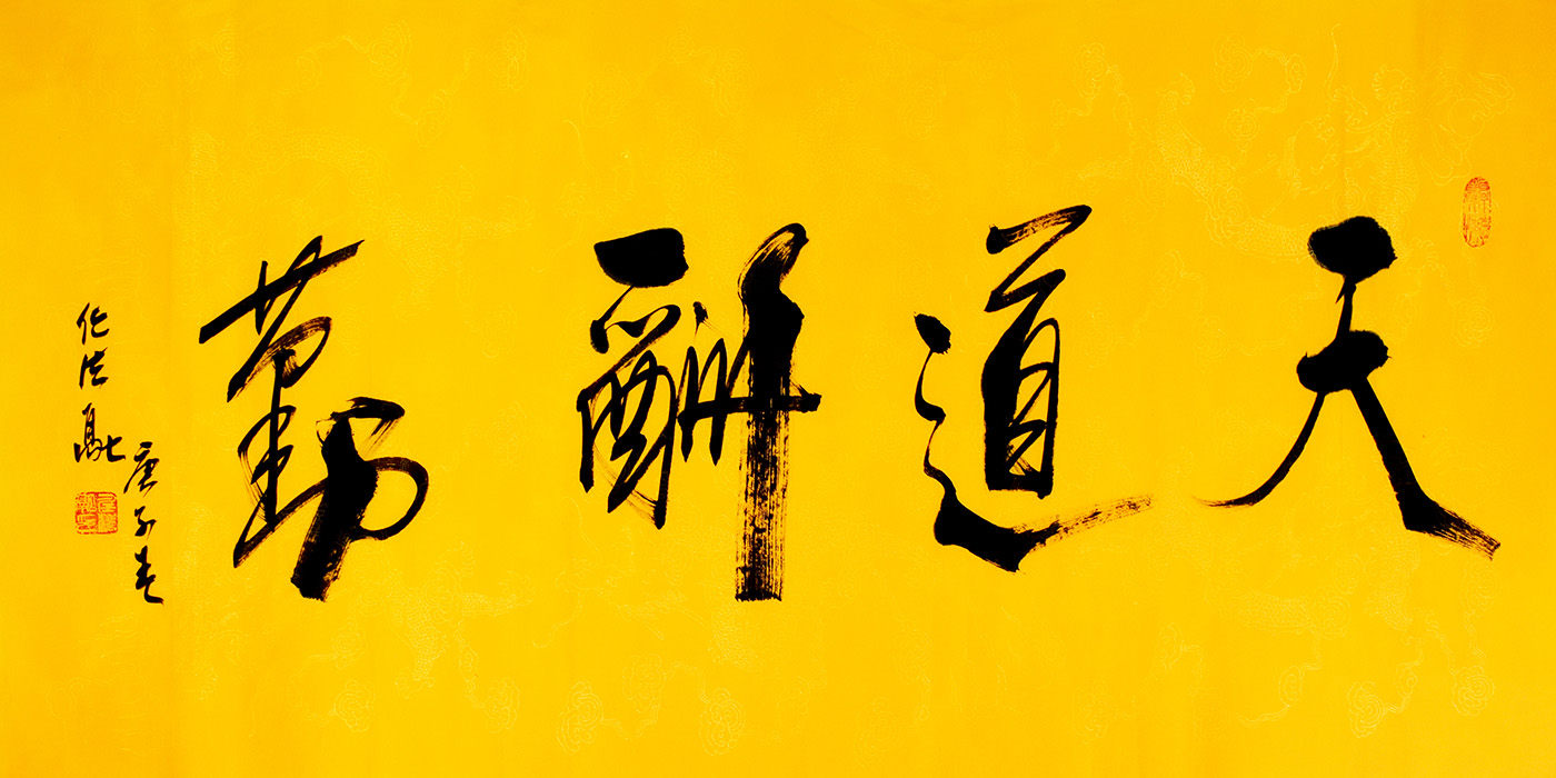鷨
