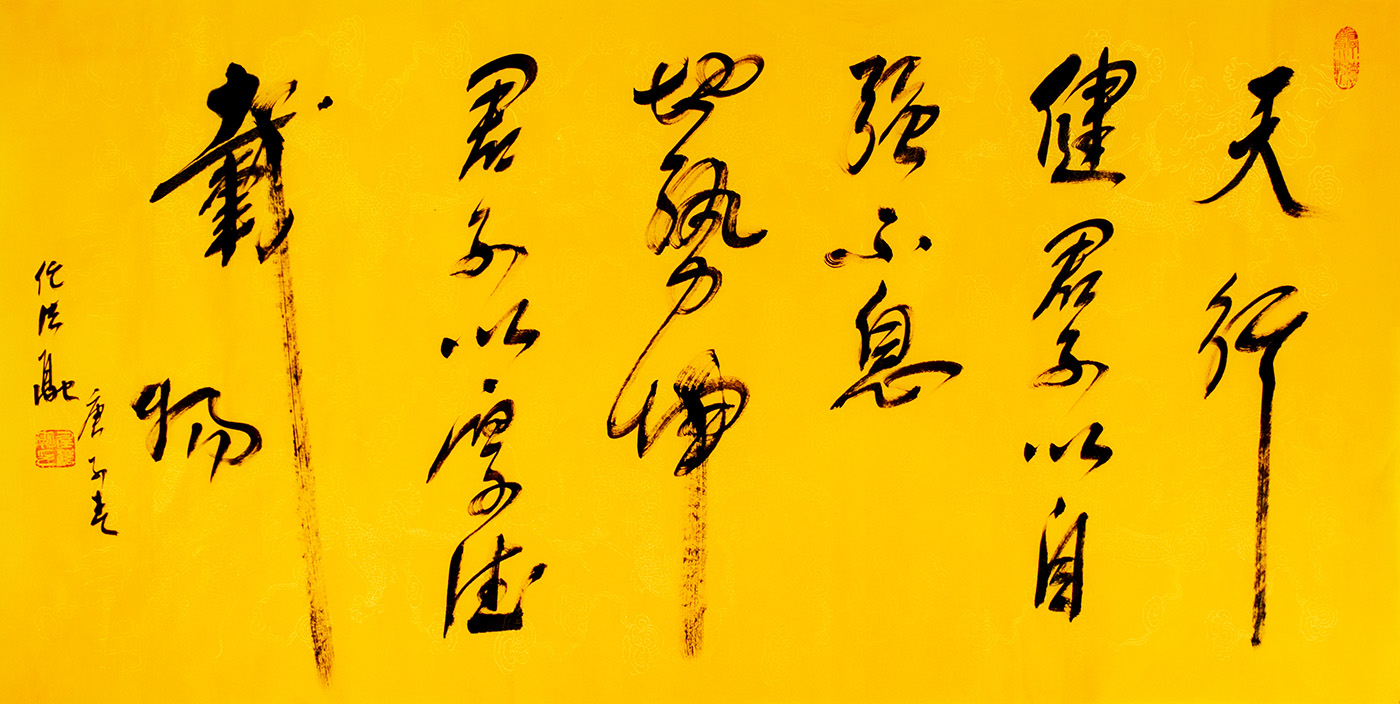 鷨