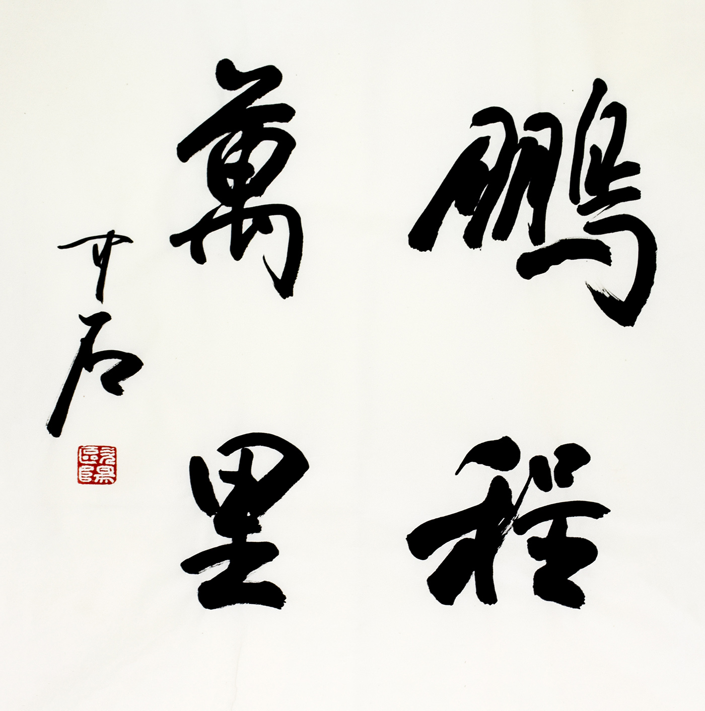 鷨