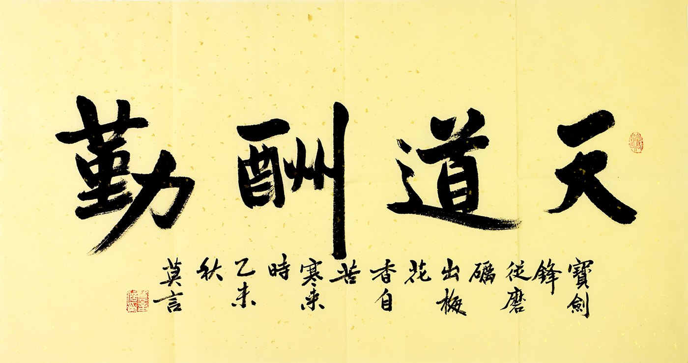 鷨