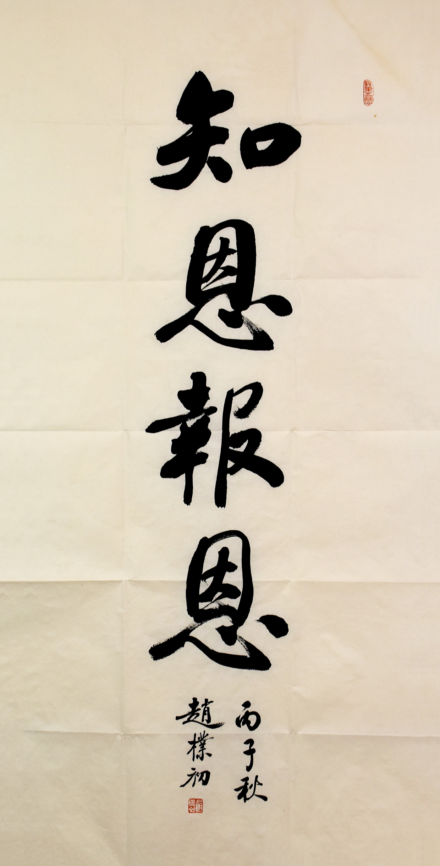 鷨