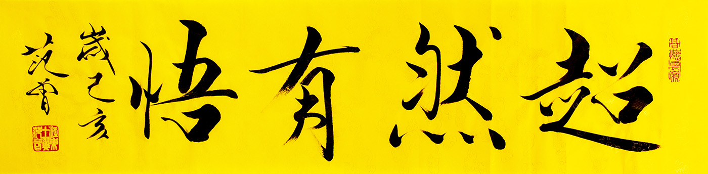 鷨