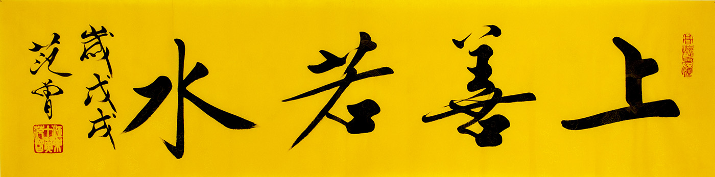 鷨