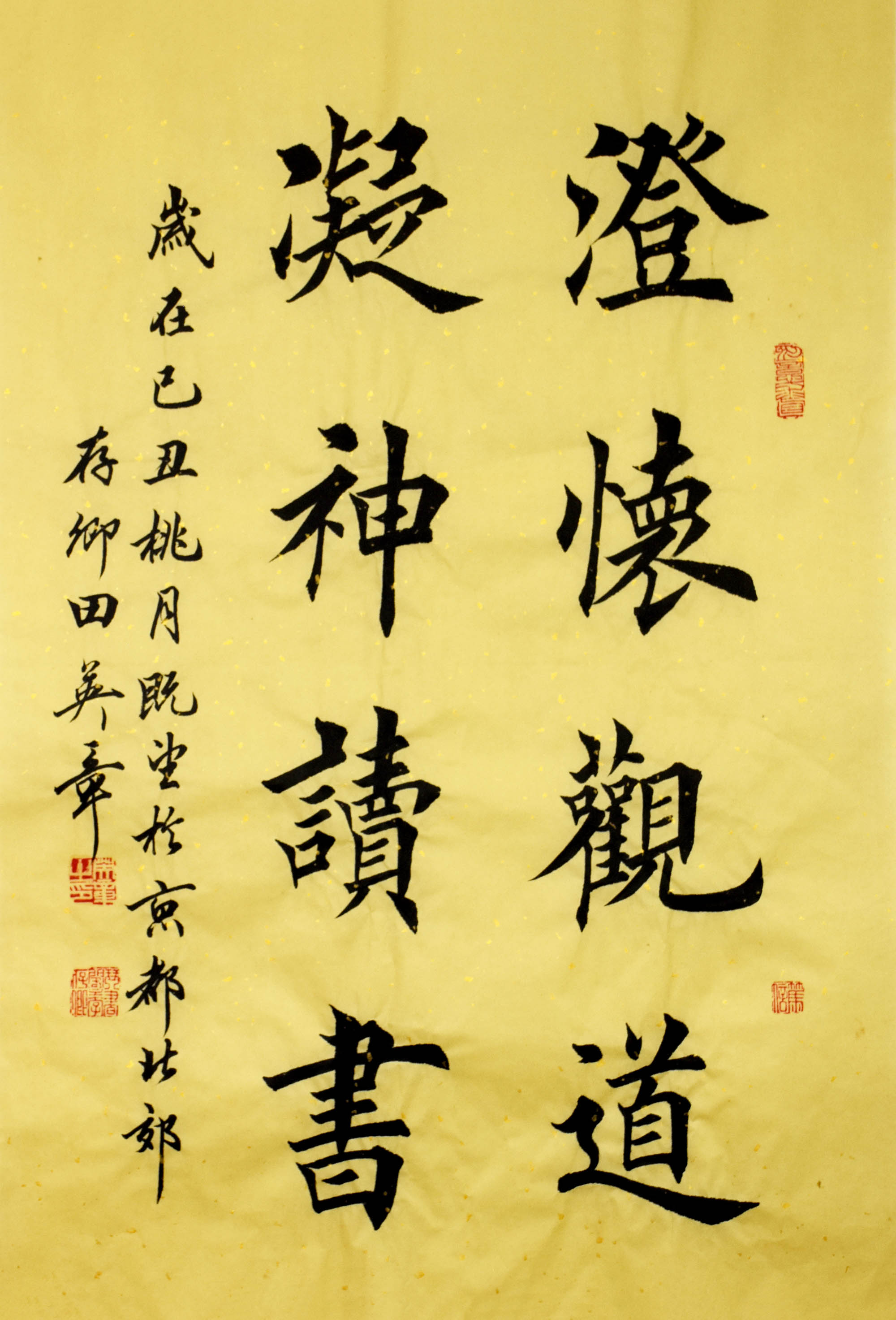 鷨