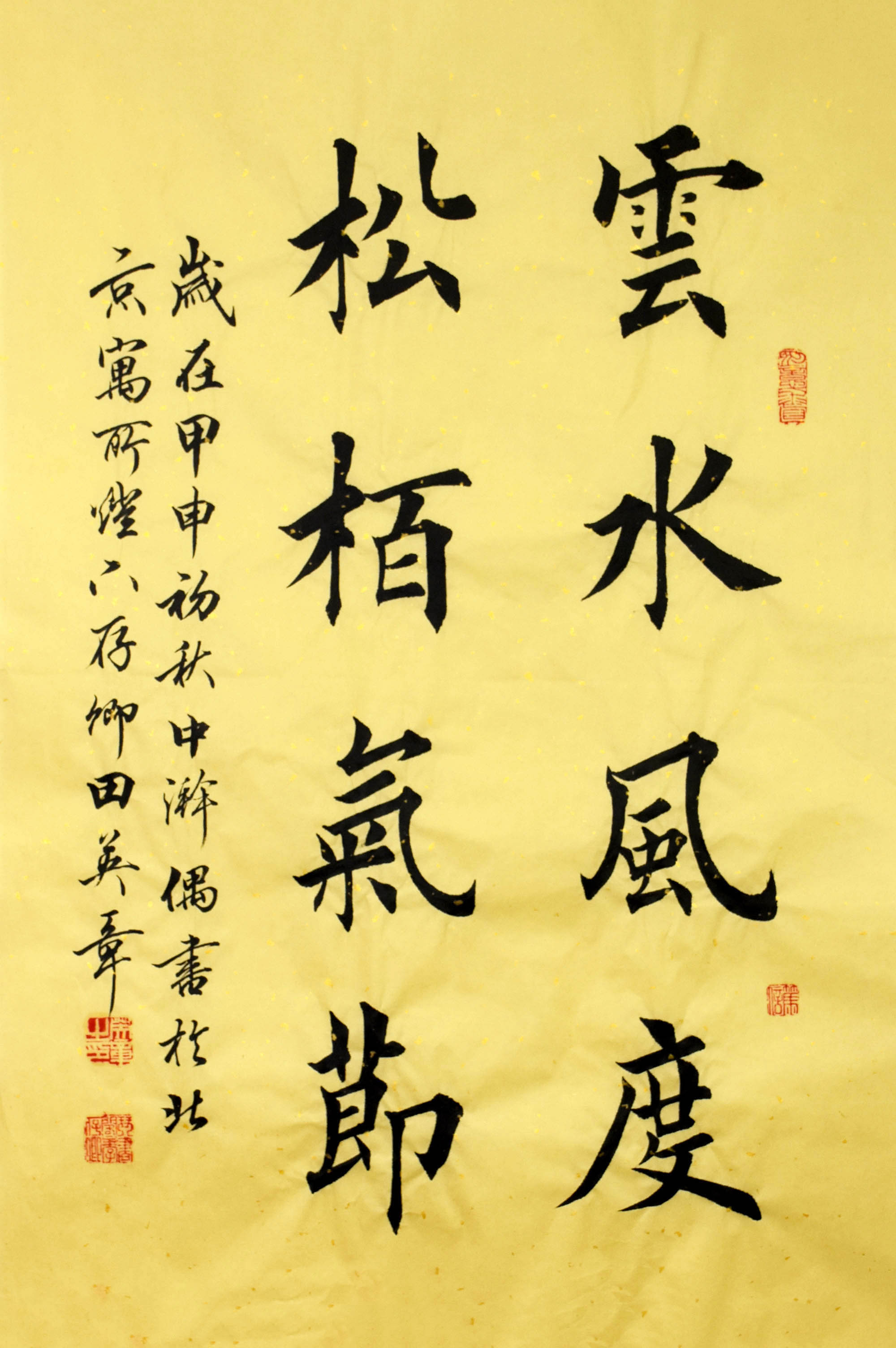 鷨