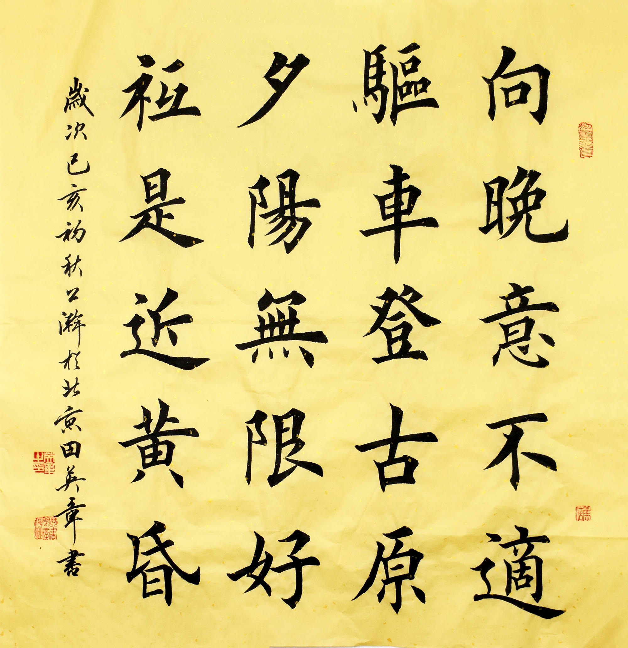 鷨
