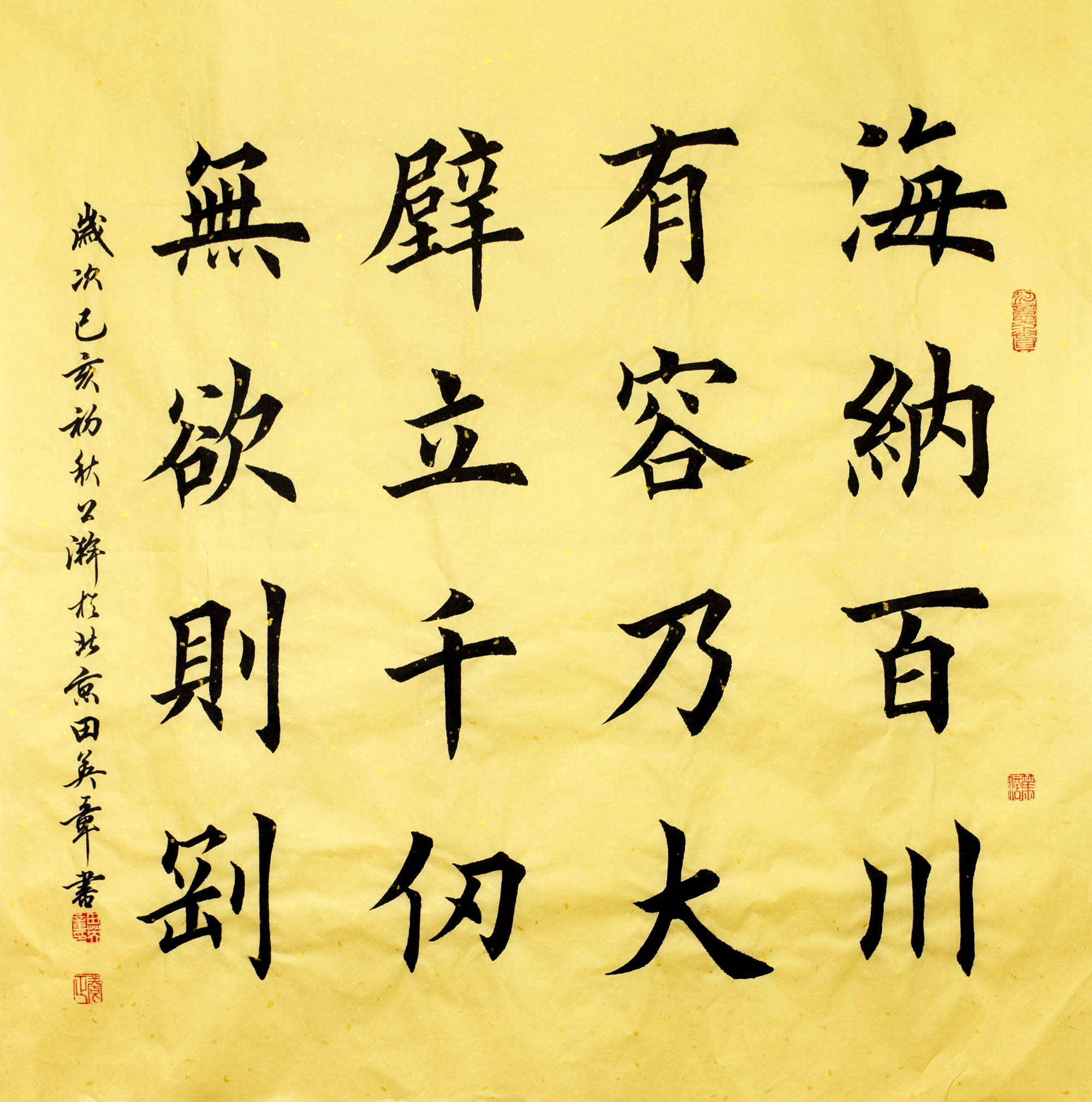 鷨