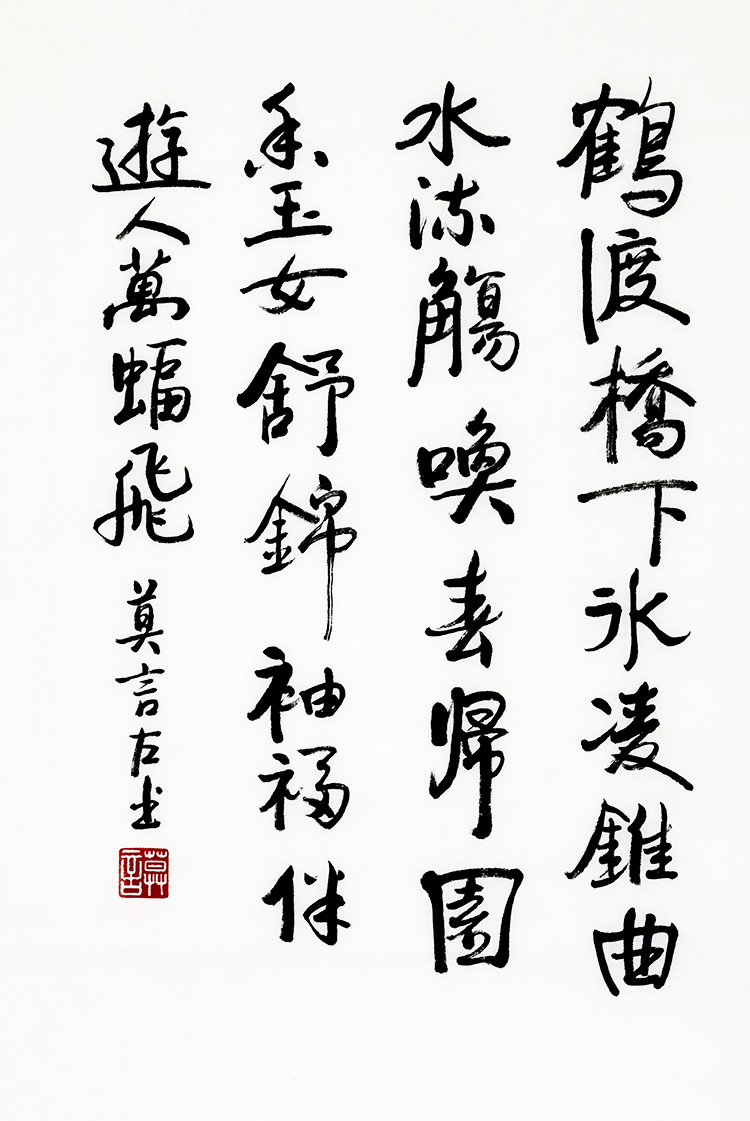 鷨
