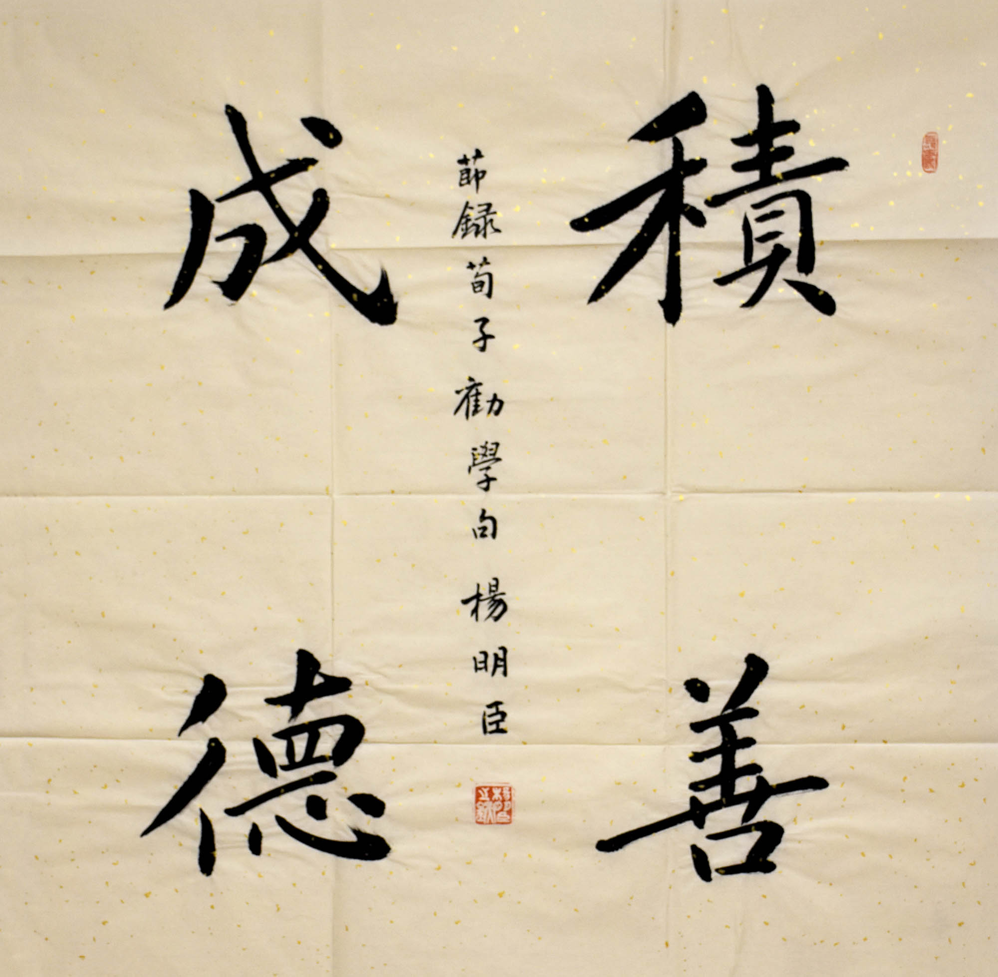 鷨