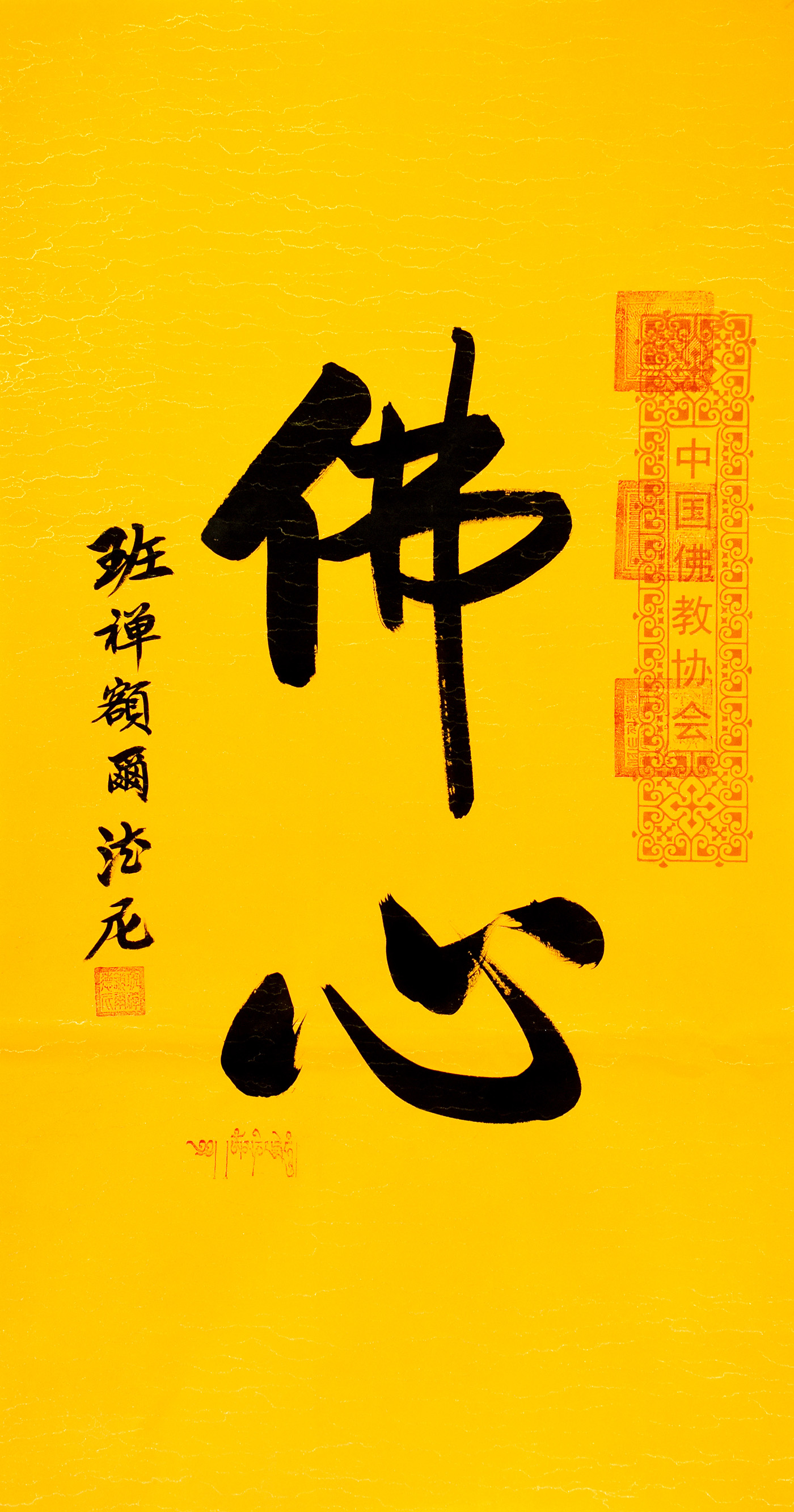 鷨