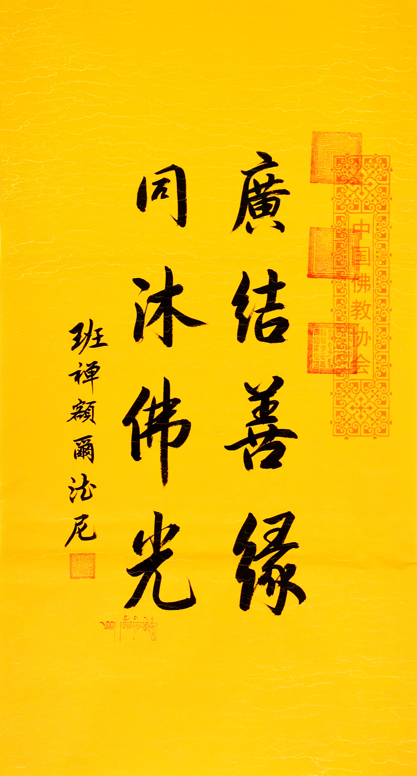 鷨