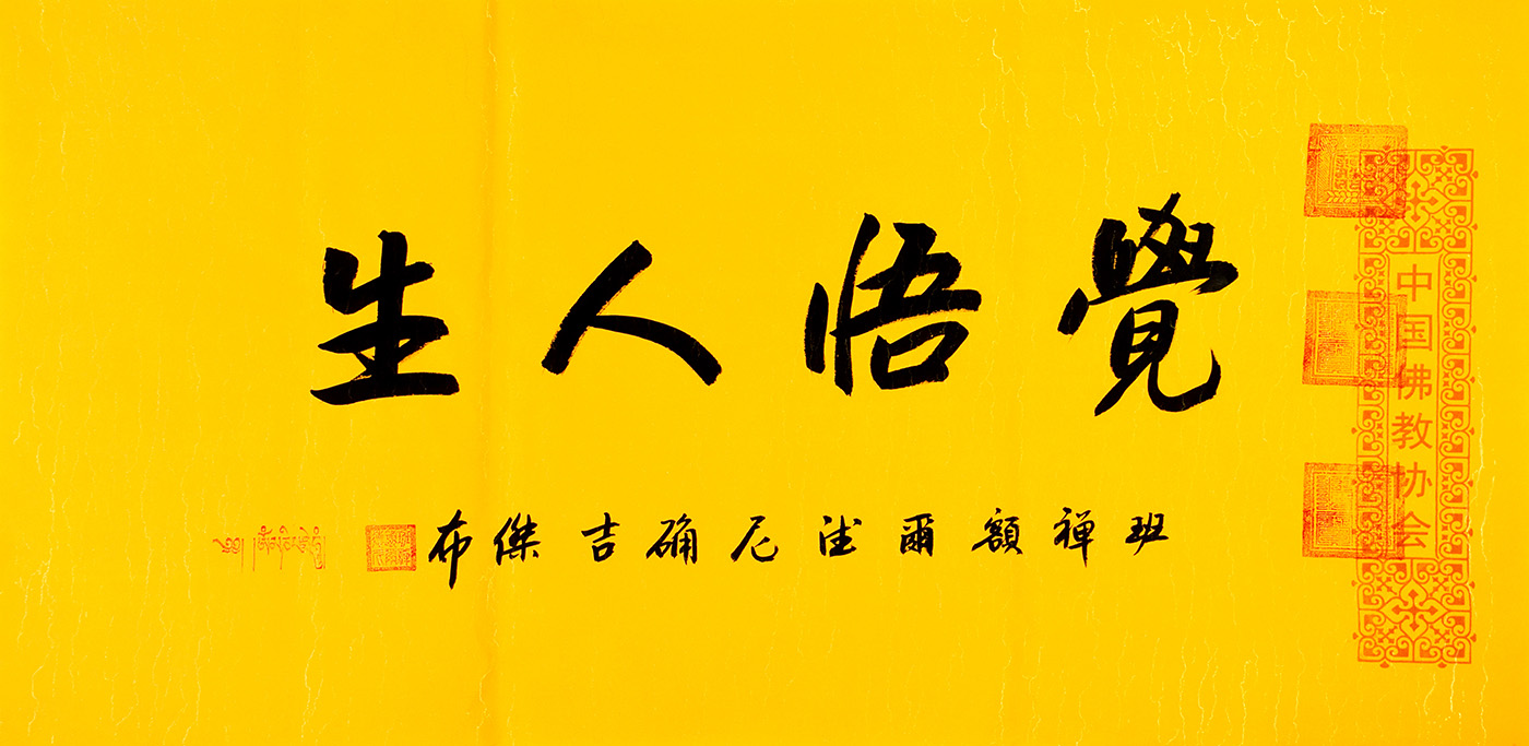 鷨